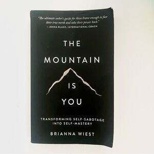 The mountain is you book